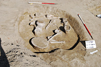 Az ásatás legrangosabb felnőtt férfi temetkezése a szelvény, jelenlegi főúthoz közelebb eső szelvényfala mellett került elő.