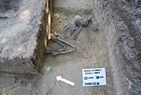 A mélyebben fekvő sírokra csak kutatóárkok segítségével sikerült rábukkannunk, mivel a sírok foltja a homokos altalajban nem látszódott (felnőtt női temetkezés bontás után)