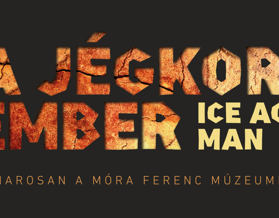 A jégkori ember logo