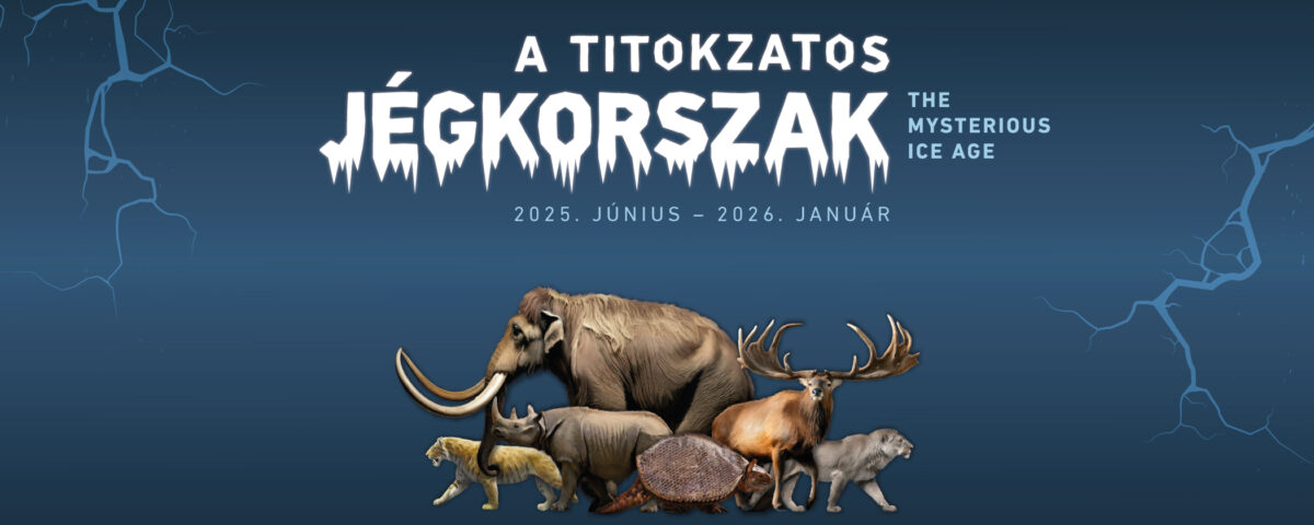 jégkorszak slider