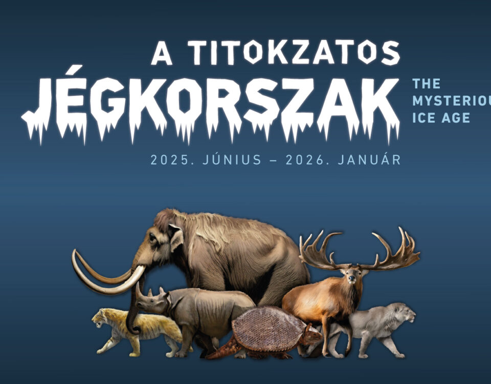 jégkorszak slider