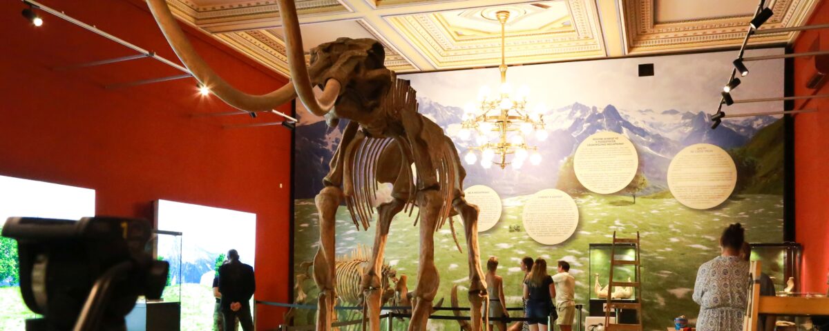 mamut fotó