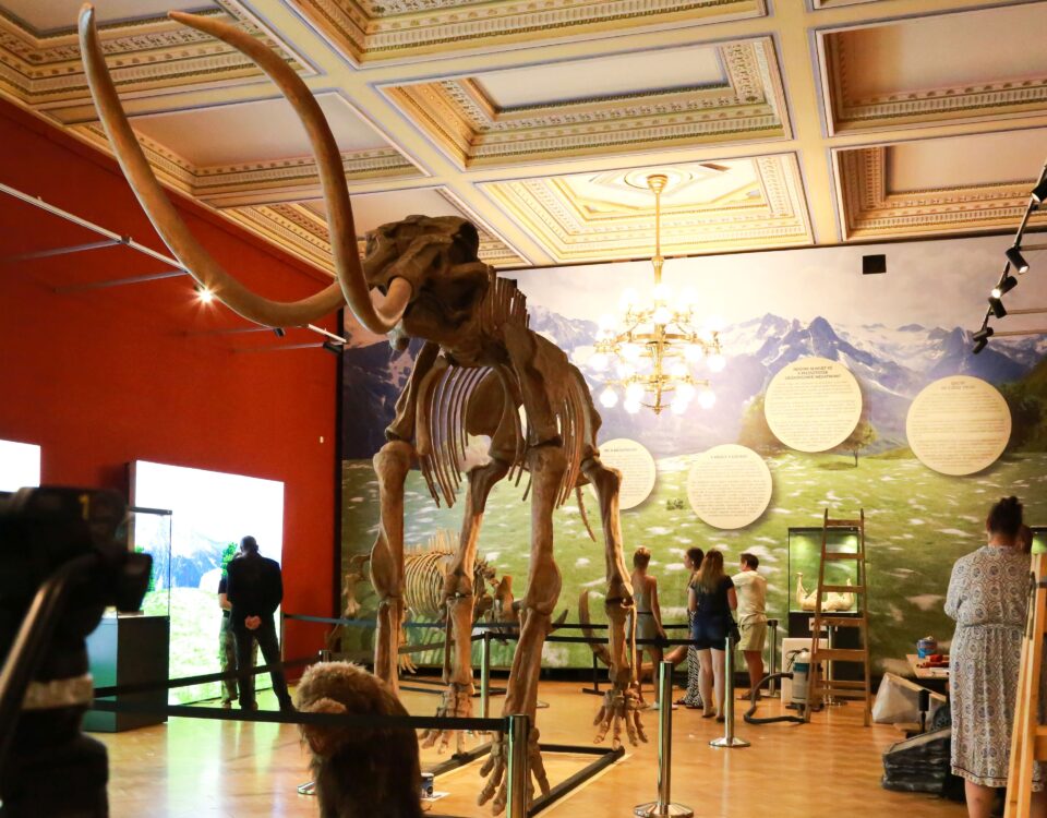 mamut fotó
