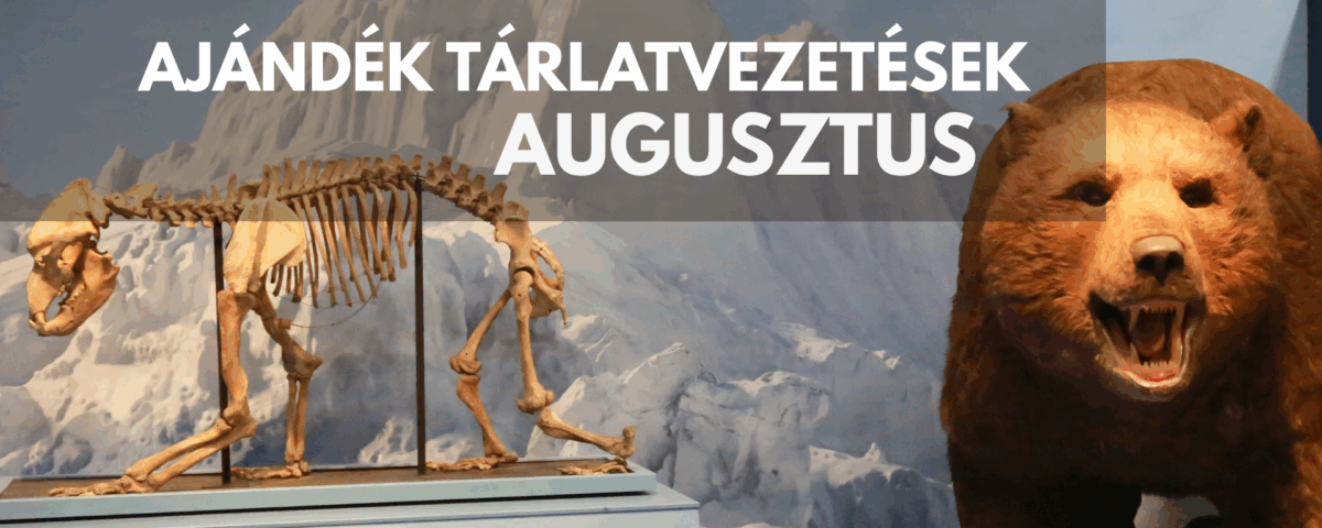 augusztusi vezetések