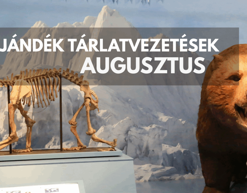 augusztusi vezetések
